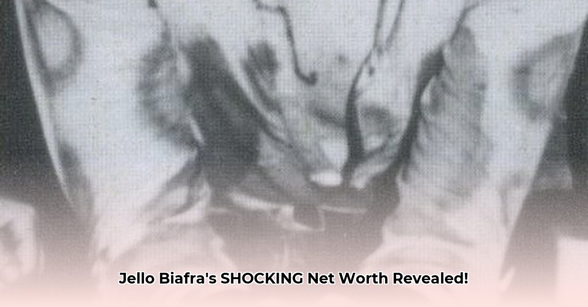 jello-biafra-net-worth